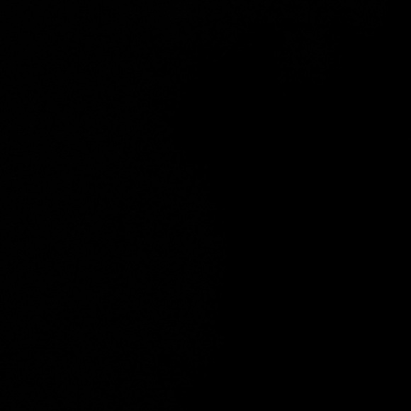 Meet your Posher, Antonio - Picture 1 of 1